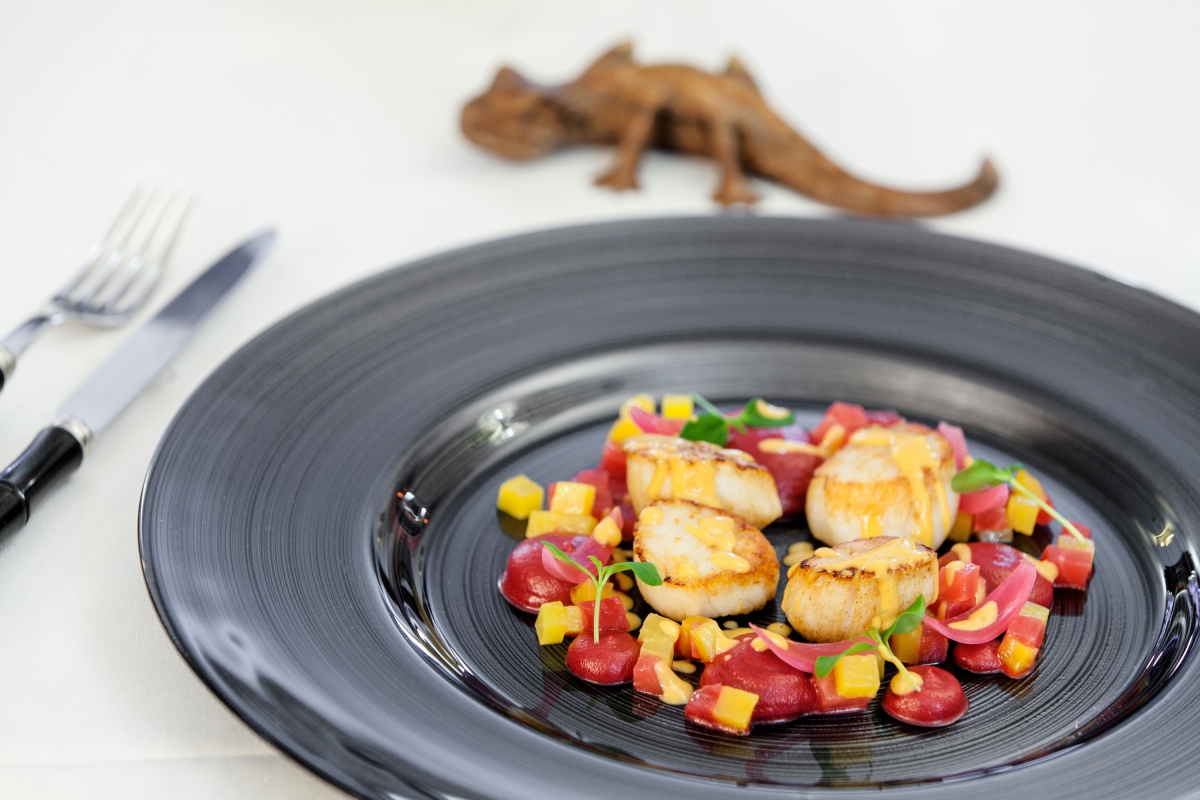 réseau photographes professionnels culinaire europe myphotoagency zenchef