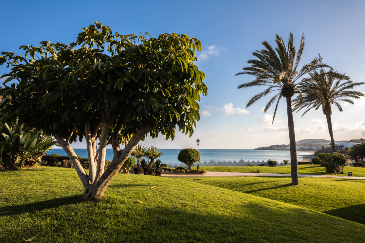 réseau photographes professionnels myphotoagency monde promo vacances fram hôtel club vacances