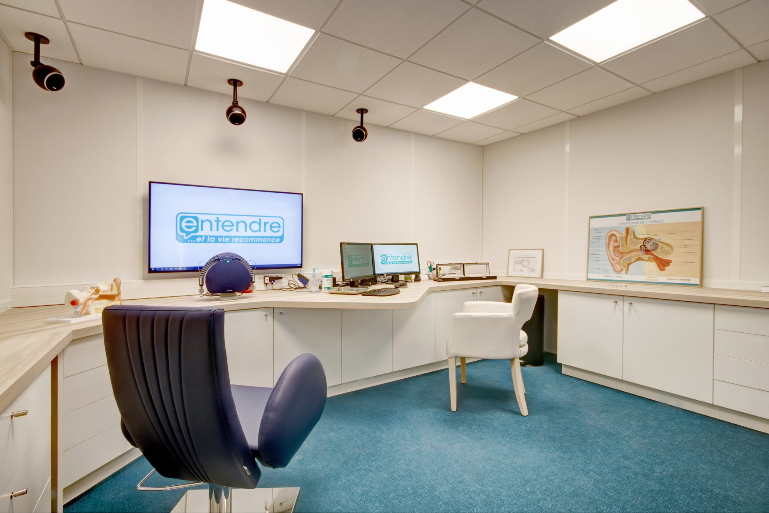 Entendre Languidic HD 2