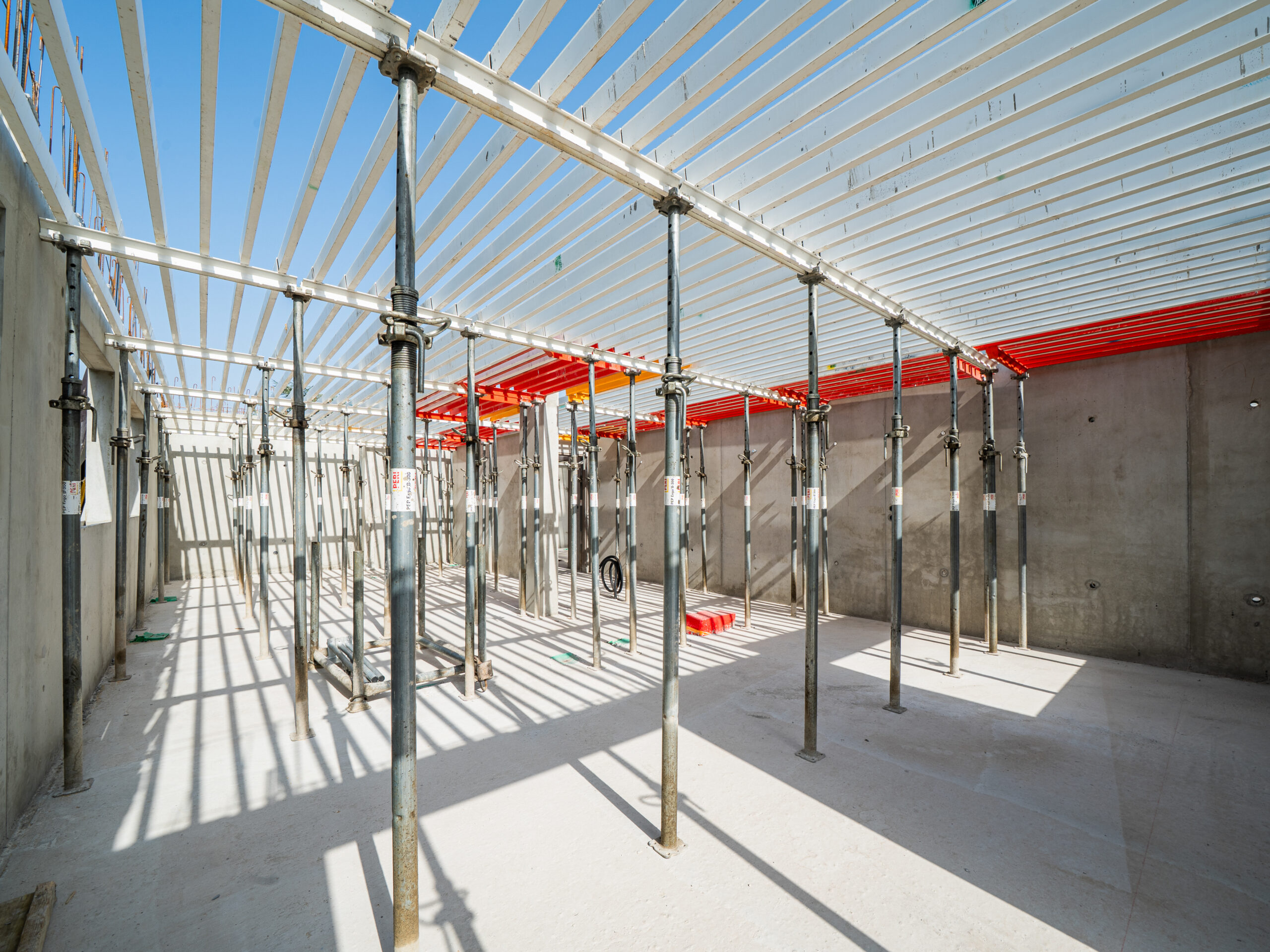 Bourg En Bresse Tilia 082025 10