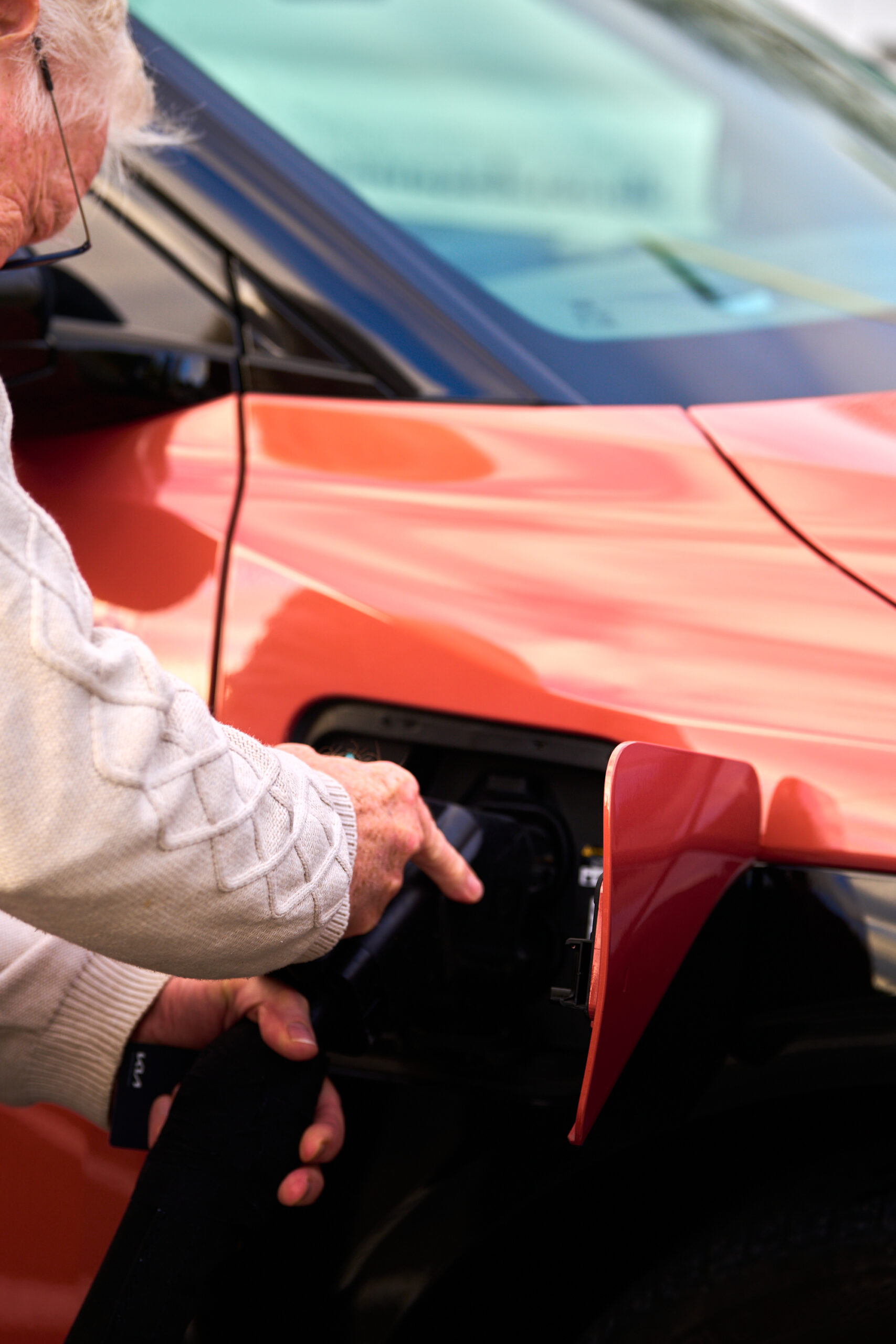 OSPREY Wirral Eastham Point Myphotoagency (DECEMBER 2025) ©Rob Battersby 5 0