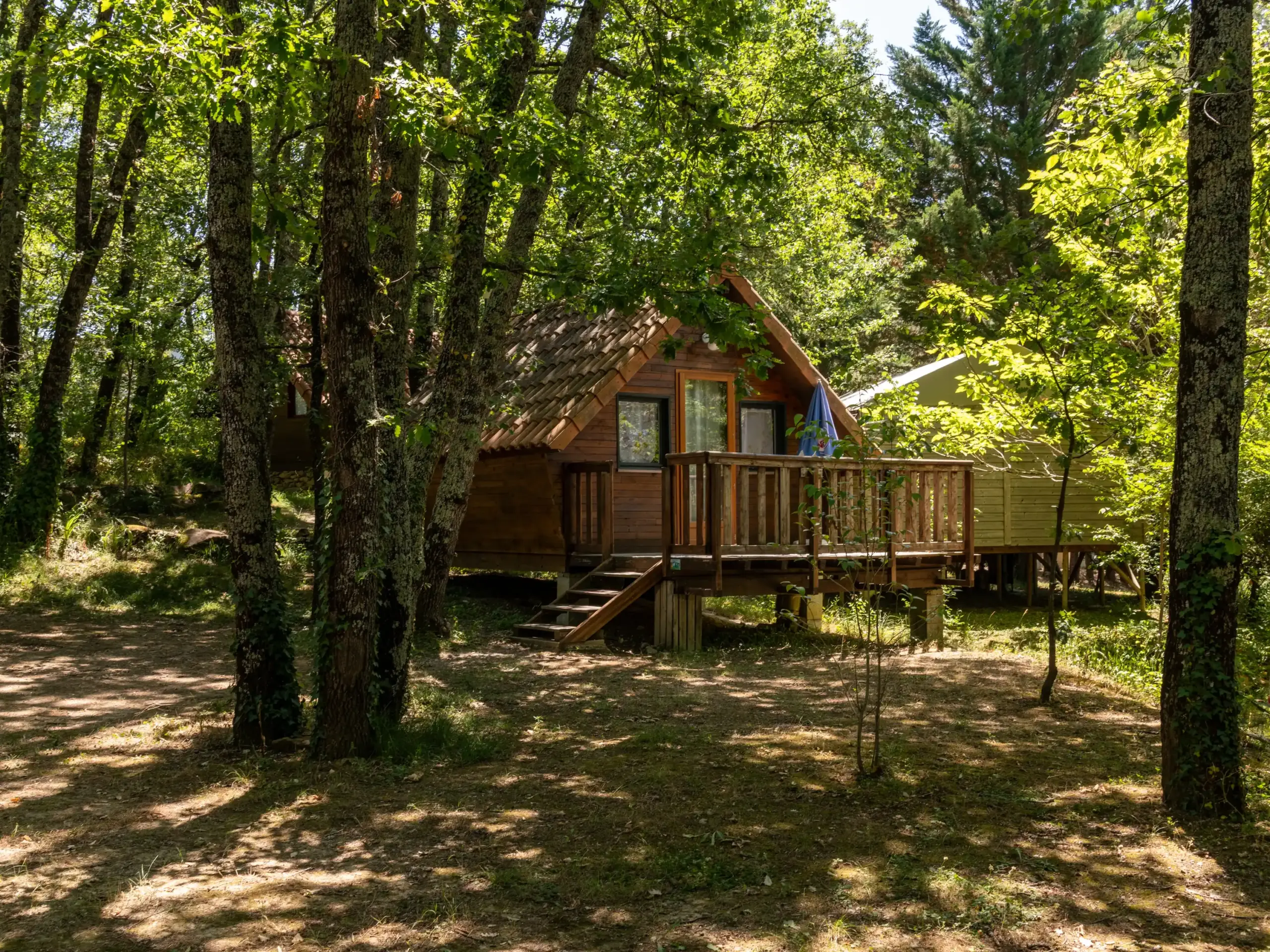 Photographie Hotellerie De Plein Air Camping Pibola Chalet Bois En Foret