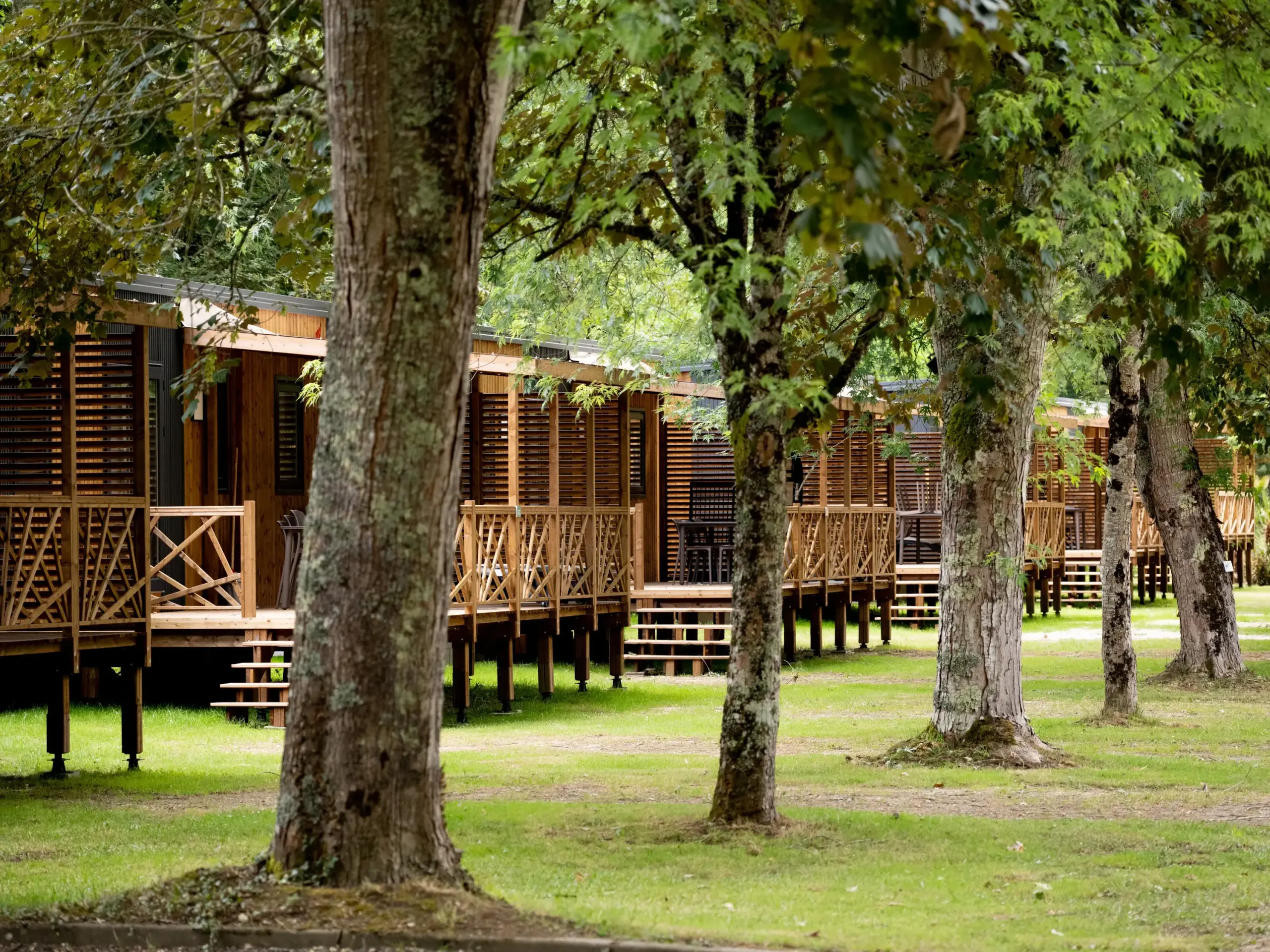 Photographie Hotellerie De Plein Air Flower Camping Peyrelevade Chalets Bois Sous Les Arbres